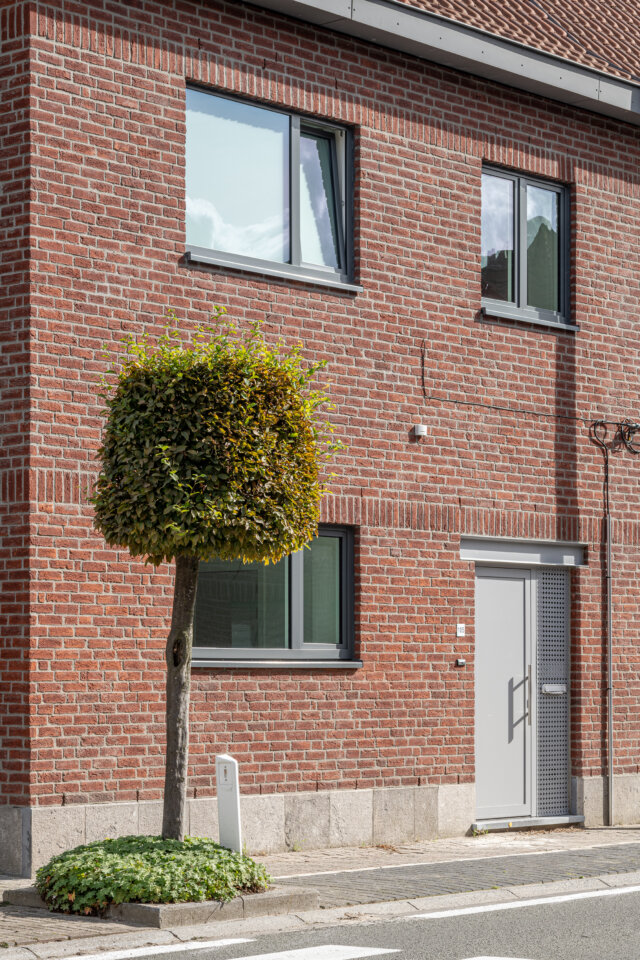 Voorgevel van een sociale woning in Wetteren in rode baksteen, met grijze ramen, een grijze voordeur en een bolvormig gesnoeide boom op de stoep