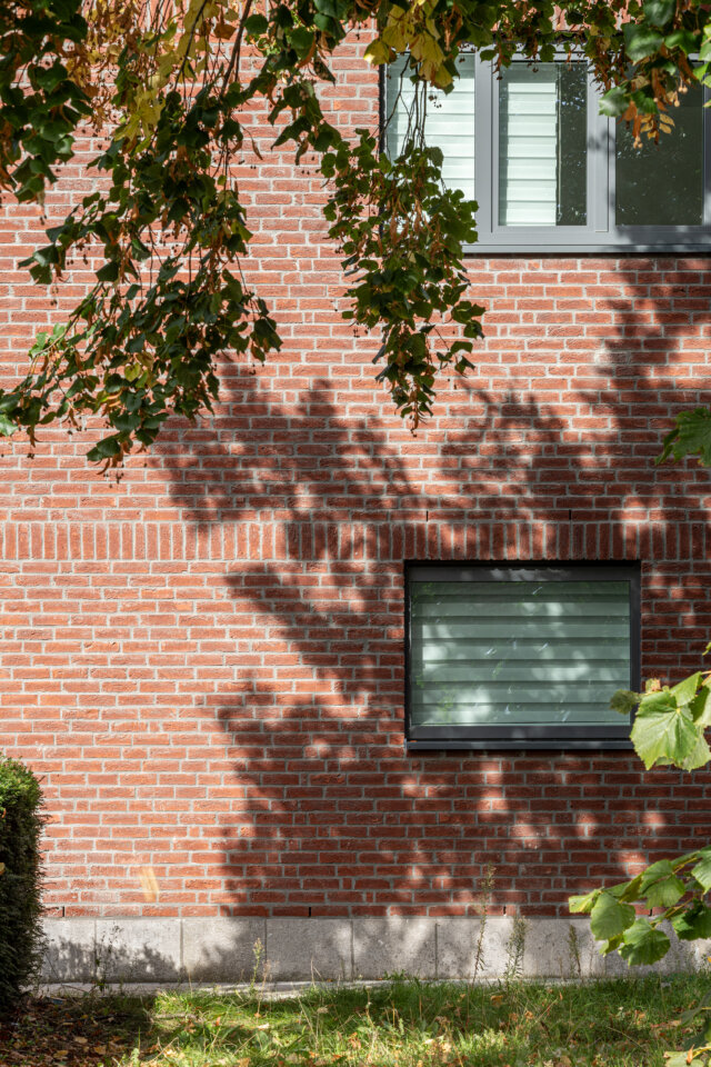 Schaduwen van bladeren op de rode bakstenen gevel van een sociale woning in Wetteren, met twee ramen met grijze kaders